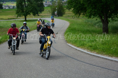 Land_Brand_2017_2403