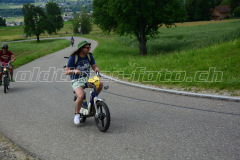 Land_Brand_2017_2412