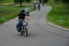 Land_Brand_2017_2423