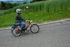 Land_Brand_2017_2428