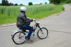 Land_Brand_2017_2436