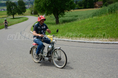 Land_Brand_2017_2443