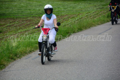 Land_Brand_2017_2450