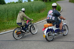 Land_Brand_2017_2465