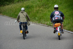 Land_Brand_2017_2466