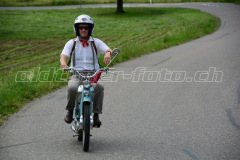 Land_Brand_2017_2467