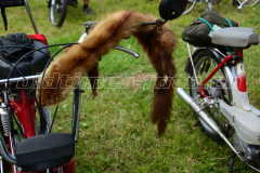 Land_Brand_2017_2491