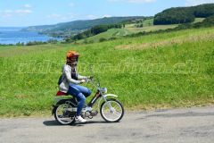 Land_Brand_2017_2576