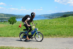 Land_Brand_2017_2578