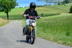 Land_Brand_2017_2584