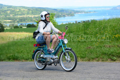 Land_Brand_2017_2590