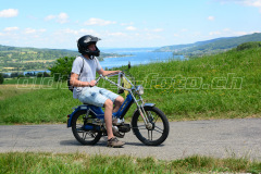 Land_Brand_2017_2596