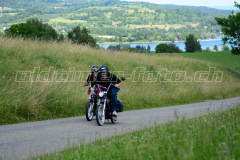 Land_Brand_2017_2603