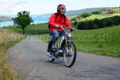 Land_Brand_2017_2610