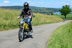 Land_Brand_2017_2640