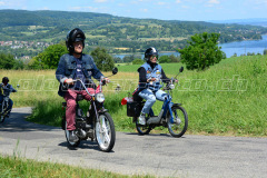 Land_Brand_2017_2649