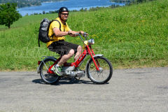 Land_Brand_2017_2661