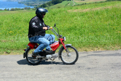 Land_Brand_2017_2667