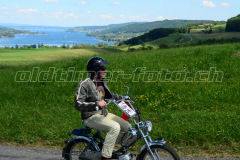 Land_Brand_2017_2691