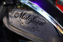 Land_Brand_2017_2826