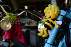 Land_Brand_2017_2830