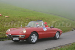 Michaelskreuz_2014_7782
