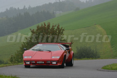 Michaelskreuz_2014_8069