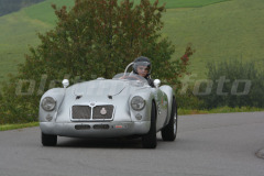 Michaelskreuz_2014_8254