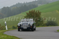 Michaelskreuz_2014_8286