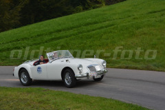 Michaelskreuz_2014_8474