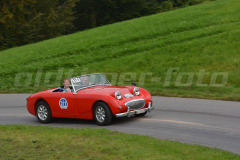 Michaelskreuz_2014_8475