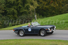 Michaelskreuz_2014_8491