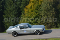 Michaelskreuz_2014_8901