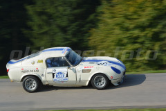 Michaelskreuz_2014_8915