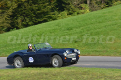 Michaelskreuz_2014_8930