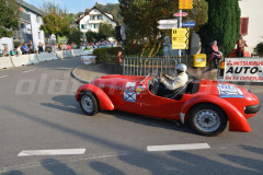Michaelskreuz_2014_9330