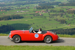 Michaelskreuz_2011_2891