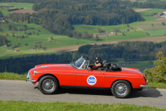 Michaelskreuz_2011_2897
