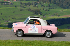 Michaelskreuz_2011_2898