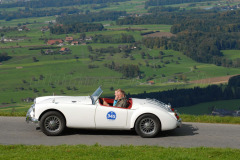 Michaelskreuz_2011_2903