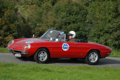 Michaelskreuz_2011_3286
