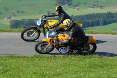 Michaelskreuz_2011_2985