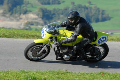 Michaelskreuz_2011_3018