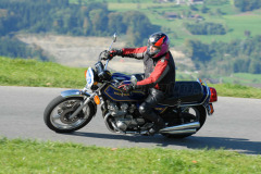 Michaelskreuz_2011_3022