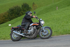 Michaelskreuz_2011_3321