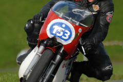 Michaelskreuz_2011_3393