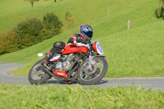 Michaelskreuz_2011_3416
