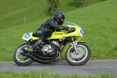 Michaelskreuz_2011_3455
