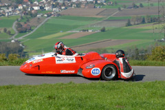 Michaelskreuz_2011_3068