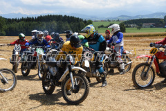 MX_Zuckenriet_2019_7065